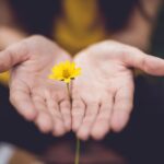 offering linguistic services
